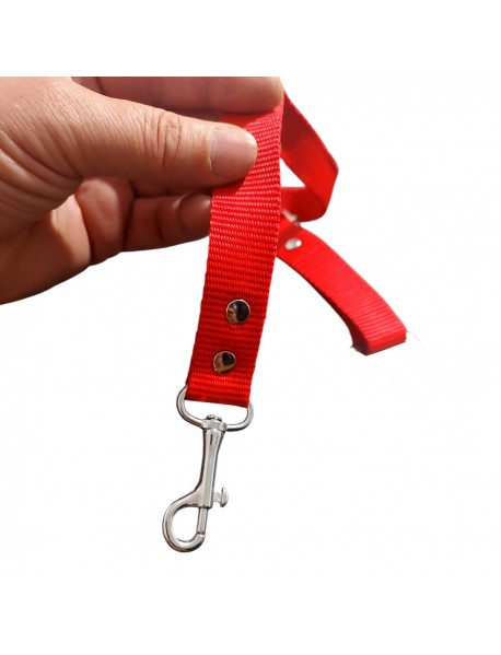 Köpek,Kedi Araç Emniyet Kemeri Tasması