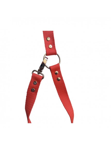 Araç İçi Köpek Emniyet Tasması, Ayarlanabilir Metal Kancalı Araç İçi Köpek Emniyet Tasması, Ayarlanabilir Metal Kancalı